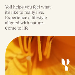 Visual of the complete 7-piece Transformation Kit