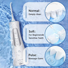 Portable travel-ready case with water flosser and tips