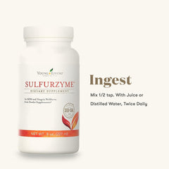 Ingredients highlight: MSM and wolfberry in Sulfurzyme Powder