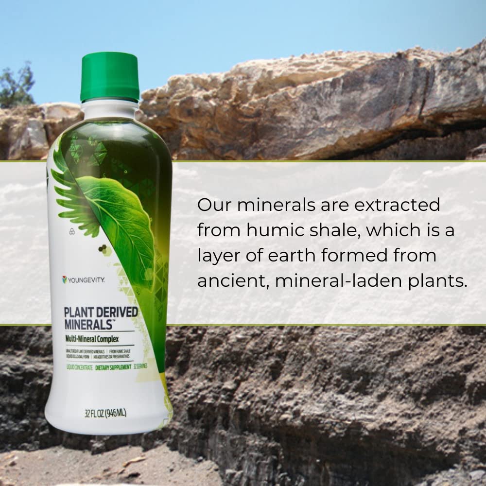 Graphic highlighting 77+ minerals from prehistoric plants