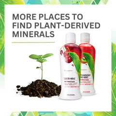 Packaging showing 77+ minerals and plant-based minerals
