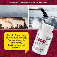 Youth & Tonic liver health supplement label ready for liver support.