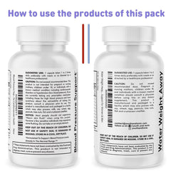 Illustration of healthy circulatory system and wellness
