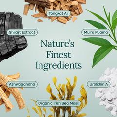 Active adults enjoying daily vitality with supplement
