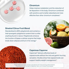 Illustration of citrus fruits representing the Citrus Fruit Blend