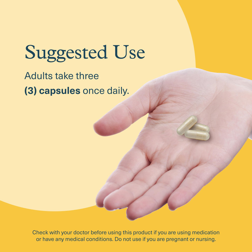 Focus and attention concept with Lion's Mane+ capsules