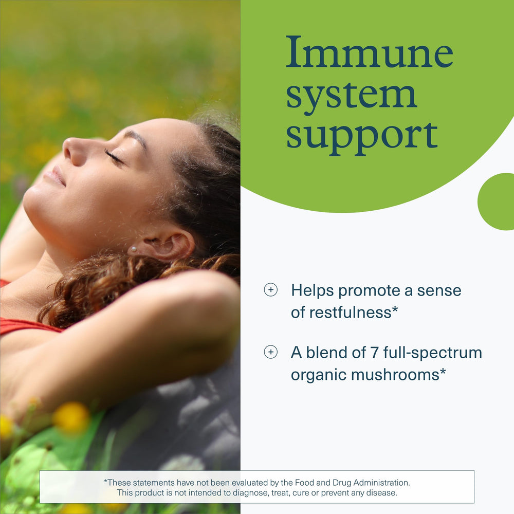 Organic mushroom blend ingredients including reishi, chaga, maitake and lion's mane