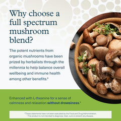 Vegan friendly vegetarian capsule shell