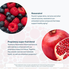 Premium antioxidant supplement for healthy aging