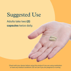 Illustration of Peruvian Ginseng (Maca) used in women's health