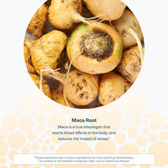 Vegan, dairy-free, soy-free and gluten-free Maca Root formula