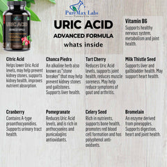 Illustration of key herbal ingredients in the formula