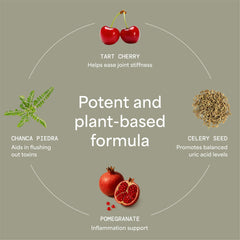 Yuri Care Chanca Piedra Capsules close-up illustrates traditional stone-breaker-inspired wellness aid.