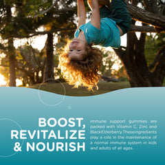 Illustration of immune-support ingredients: Vitamin C, Zinc, Black Elderberry