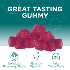 60-count bottle of Zahler Magnesium Gummies Raspberry flavor