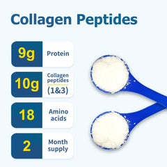 Nutritional facts panel on Zammex Collagen Powder container