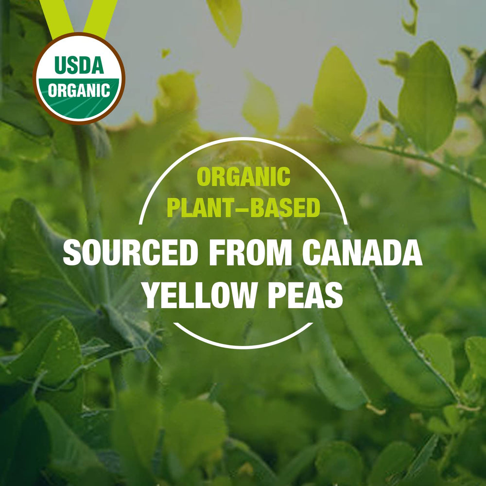Zammex Organic Pea Protein Powder sourced from Canadian yellow peas.