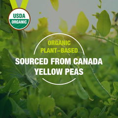 Zammex Organic Pea Protein Powder sourced from Canadian yellow peas.
