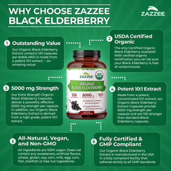 Illustration depicting 10x extract potency of elderberry