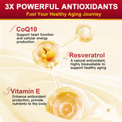 Per-pack CoQ10 400mg antioxidant support