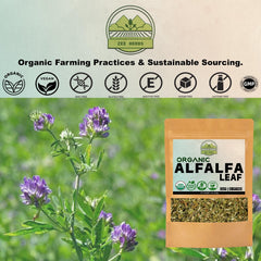 Product shot of ZeeHERBS Organic Alfalfa Leaf 4 oz pack