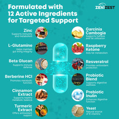 ZeniZest GLP-1 gut-health illustration emphasizing probiotic support.