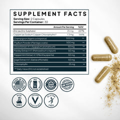 Ingredient highlight: Champignon Mushroom in Zenmen formula