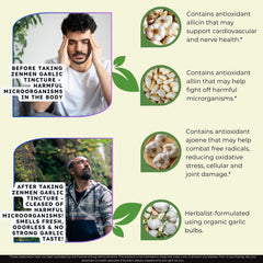 Ingredient panel for Zenmen Garlic Tincture