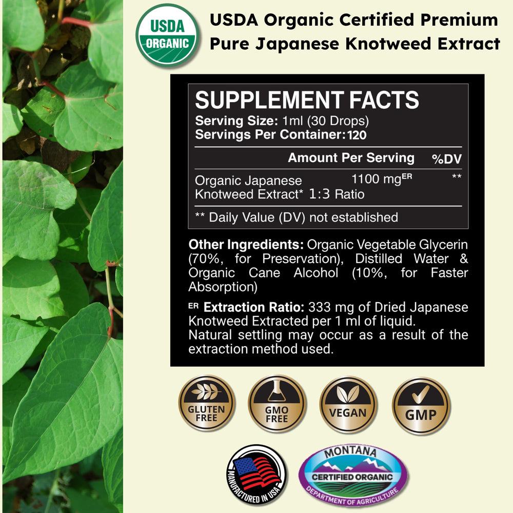 Dropper dispensing 1ml of Zenmen Knotweed tincture