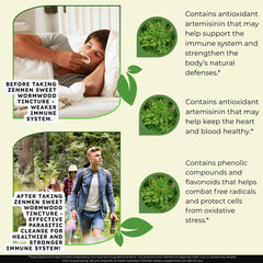 Dropper dispensing tincture for daily use