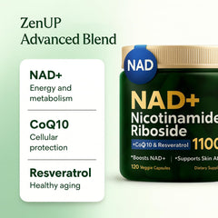 Liposomal Nicotinamide Riboside NR illustration