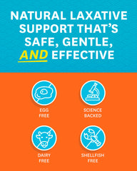 Digestive support concept with ginger, bromelain, and apple cider vinegar