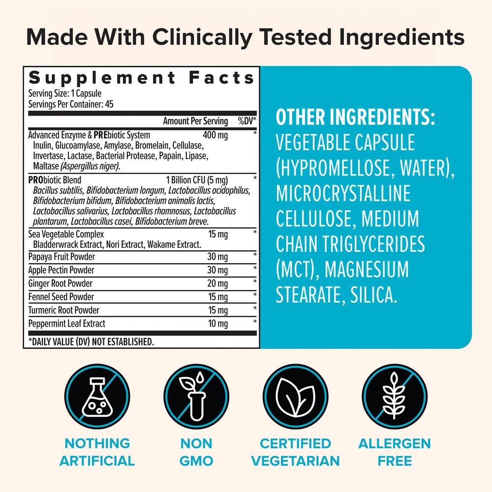 Zenwise Health probiotics and prebiotics illustration for gut balance