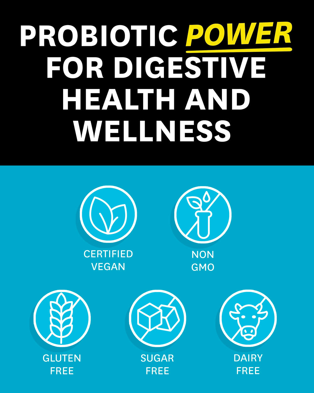 Meriva curcumin ingredient in Zenwise Men’s Probiotic
