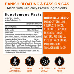 Botanical ingredients (turmeric, ginger, dandelion, fennel) in Zenwise No Bloat