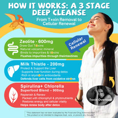 Spirulina and chlorella for immune support in gummies
