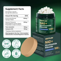 Liposomal NAD+ delivery concept showing cellular absorption