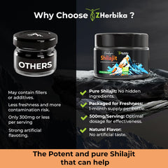Energy and immunity support with Shilajit Resin