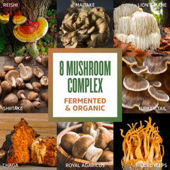Ideas for using Mushroom 8-Plex in coffee, tea, smoothies, oats