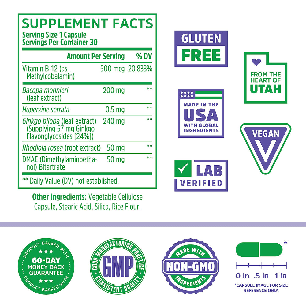 Key ingredients graphic showing Bacopa monnieri, Ginkgo biloba, Rhodiola rosea, and Vitamin B12
