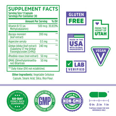 Key ingredients graphic showing Bacopa monnieri, Ginkgo biloba, Rhodiola rosea, and Vitamin B12