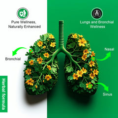 Illustration of 10:1 mullein leaf extract
