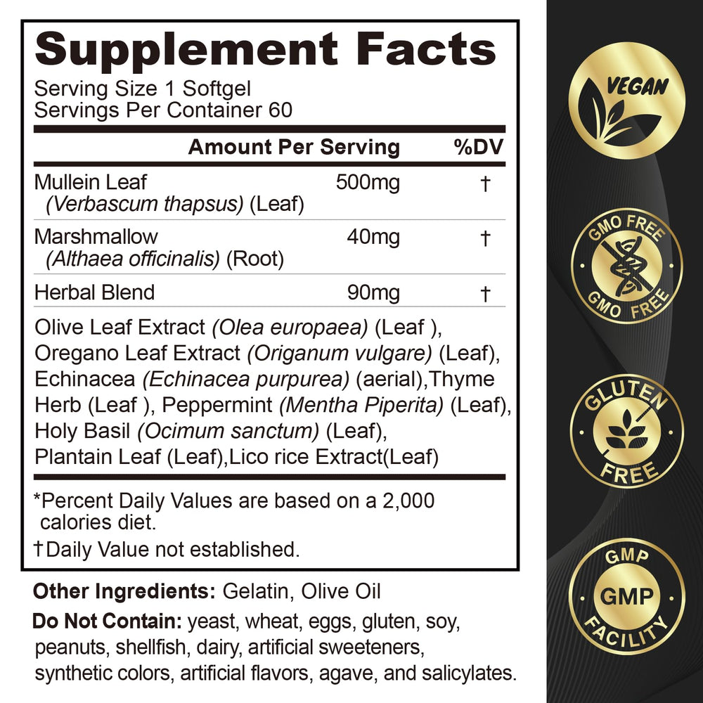 Healthy lungs and clear airways illustration