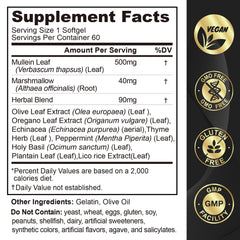 Healthy lungs and clear airways illustration