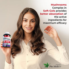 Zhu Ling, Maitake, Chaga and Turkey Tail mushrooms