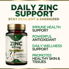 Graphic illustrating zinc's antioxidant support