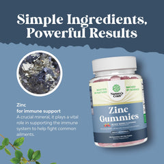 Adult taking zinc gummy for immune support and energy