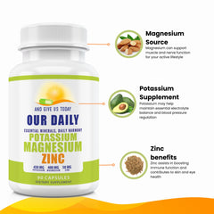 Graphic highlighting zinc's immune support