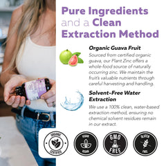 Packaging highlighting vegan, GMO-free, gluten-free, and soy-free zinc