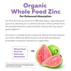Zinc delivered in a fruit-based whole-food matrix for enhanced absorption